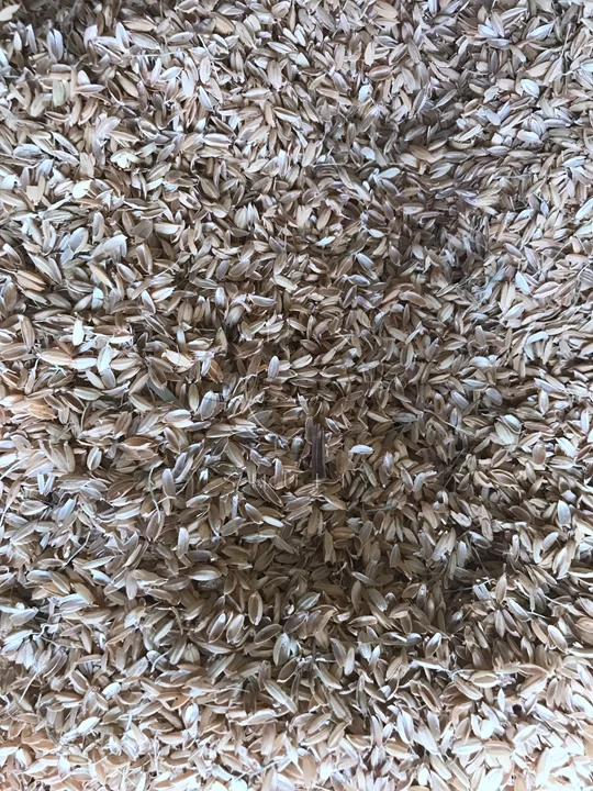 información de la cáscara de arroz
